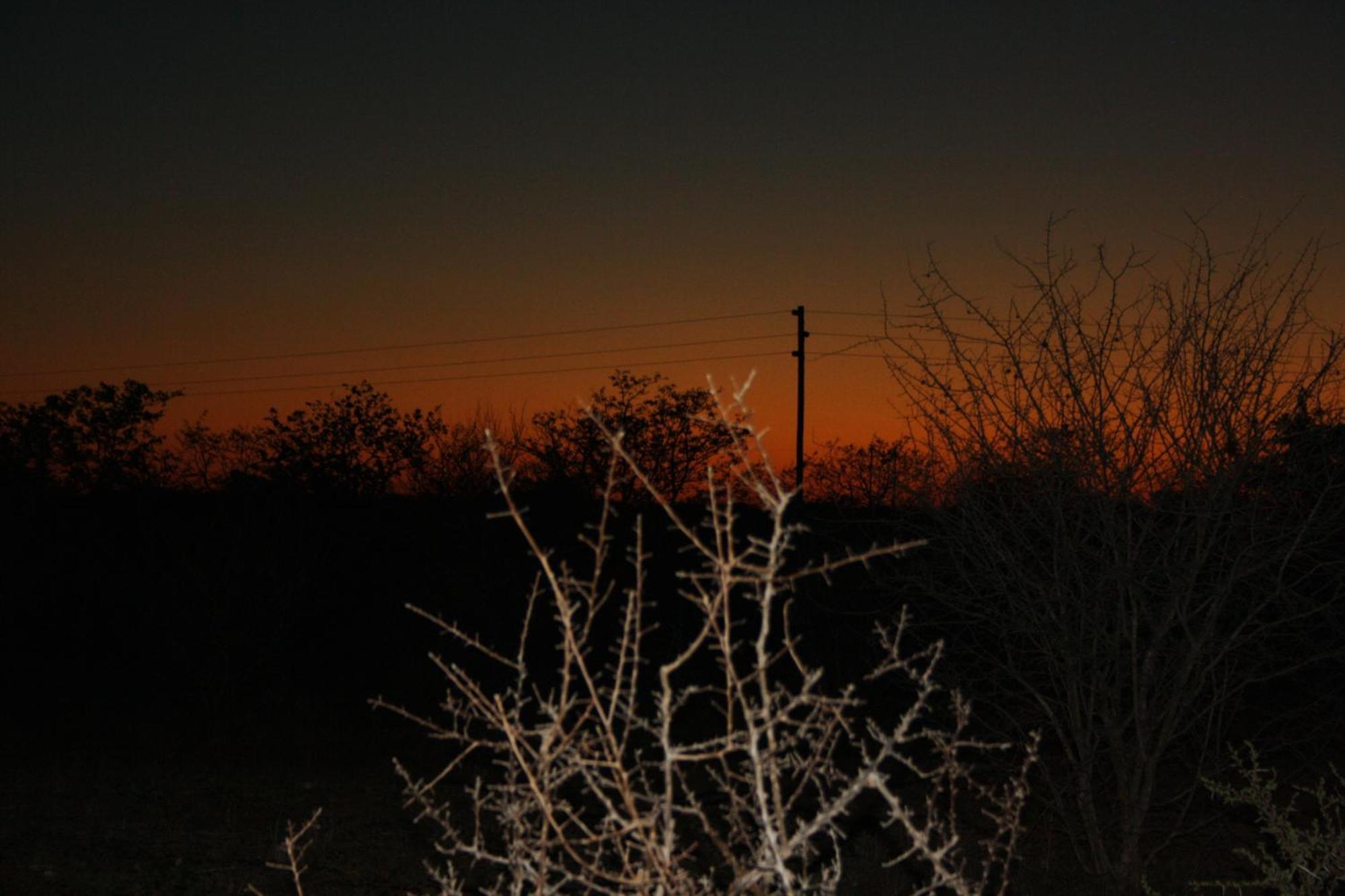 Normann Safari Bush Lodge Phalaborwa Exterior foto