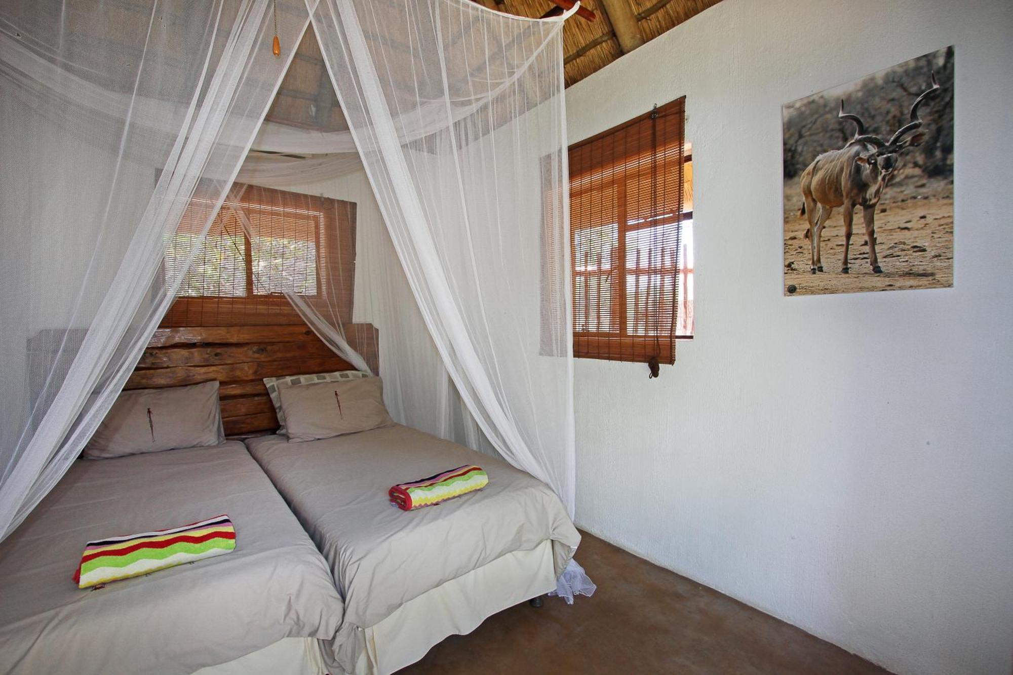 Normann Safari Bush Lodge Phalaborwa Cameră foto